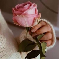 دانا الأنصاري (دندونة)su (@alansardant) 's Twitter Profile Photo دانا الأنصاري (دندونة)su (@alansardant) 's Twitter Profile Photo