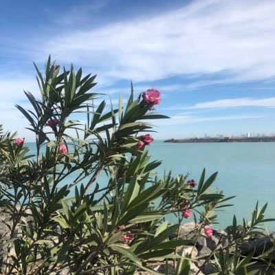 Minaalnas's profile picture. اكتب بتويتر عشان اسكت بالصج