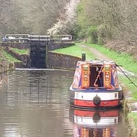 NB Flying Fox (@liamflyingfox) 's Twitter Profile