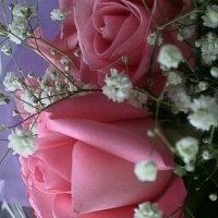 Crazy fan of Abhigya (@sriharshitha555) 's Twitter Profile Photo Crazy fan of Abhigya (@sriharshitha555) 's Twitter Profile Photo
