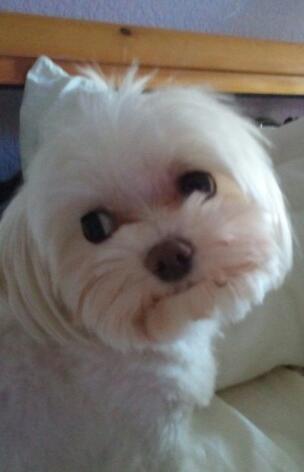 LVGonzalez12's profile picture. Hello Kitty Lover, LV Addict,