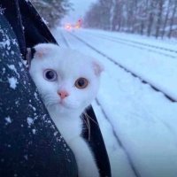 Jummy (@olajummy29) Twitter profile photo
