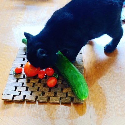 L8uDTqtPs4QObQW's profile picture. 