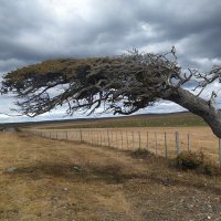 Mirta Díaz (@mirtivas) 's Twitter Profile Photo