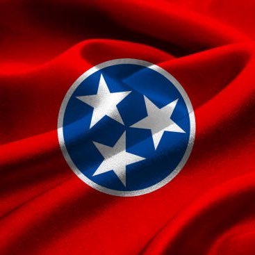 Tennessee Patriot: Restore integrity in our Government. Follow the Constitution and serve the American people 1st! #TermLimitsForCongress to save the Republic!