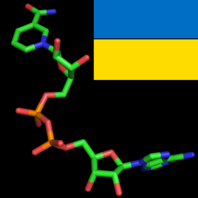 moleculesoflife Profile Picture