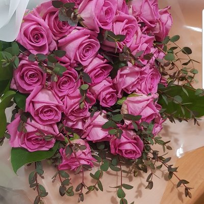 somfur0505's profile picture. 쿨하게