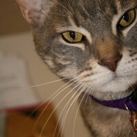 HorizonAnimalHosp. (@horizonvetteam) 's Twitter Profile Photo