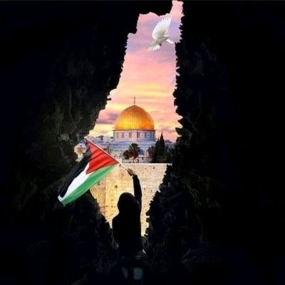 يَا أَيُّهَا الَّذِينَ آمَنُوا ارْكَعُوا وَاسْجُدُوا وَاعْبُدُوا رَبَّكُمْ وَافْعَلُوا الْخَيْرَ لَعَلَّكُمْ تُفْلِحُونَ