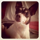 Bailey Warner - @iambaileywarner - Twitter