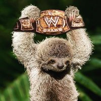 Slovy The Sloth's wrestling adventures(@SlovyTheSloth) 's Twitter Profileg