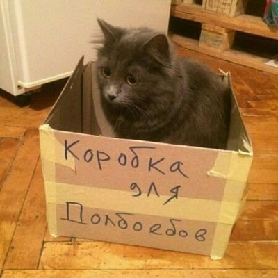 okさんのプロフィール画像