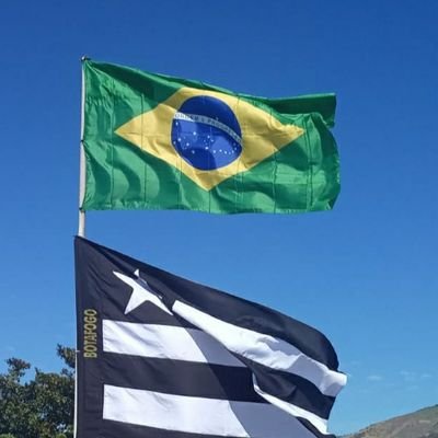 Patriota, botafoguense, armamentista, apoiador do PRESIDENTE JAIR BOLSONARO.