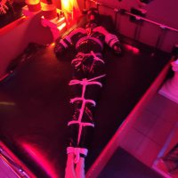 SlaveFrank (@slavefranks) 's Twitter Profile