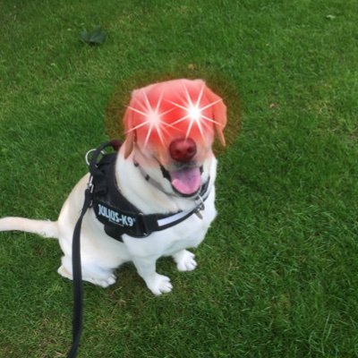 theblockshane's profile picture. #bitcoin only. 🧡