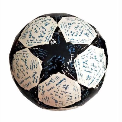 bahiscibora's profile picture. 