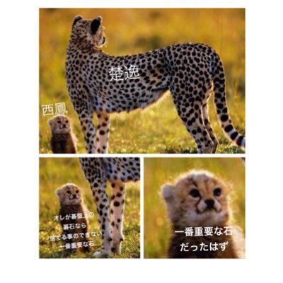 susu_0128 仕事多忙で低浮上さんのプロフィール画像