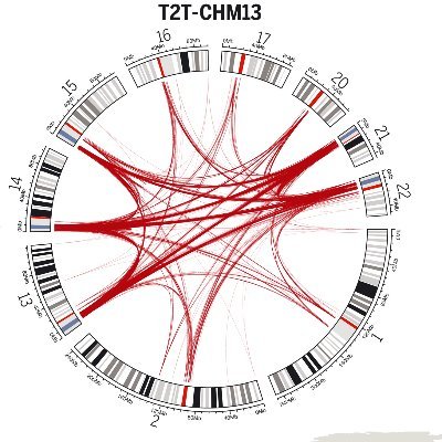 Eichler Lab @UW Twitter
@uwgenome #hhmi