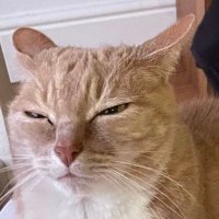 Ben (@mr_b_w) 's Twitter Profile