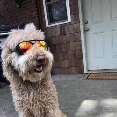 EricHovinga2's profile picture. 