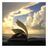 Bookworm_53's profile image