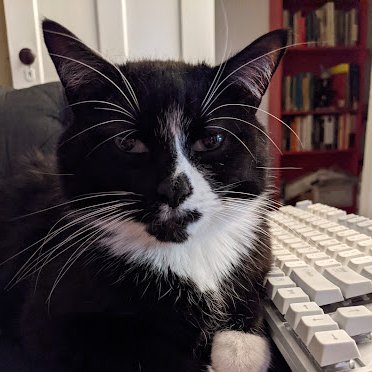 clojurecole's profile picture. Functional programming, clojure and rediscovering the joy of maths.