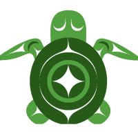 Turtle Island NFT (@turtleislandnft) 's Twitter Profile