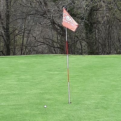 gonsops's profile picture. Inquieto, con ganas de aprender, con todo por saber...