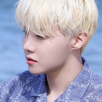 #HOBI: if you don't work hard, there won't be good results. / bu acc, main acc: @vantek25