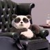 VinniethePanda (@pandavinniethe) Twitter profile photo VinniethePanda (@pandavinniethe) Twitter profile photo