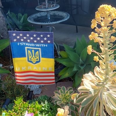 Proud Ukrainian American. Hater of Putin and anyone that supports him. I hope he's hung in front of the world. Little man syndrome at its worst! Viva Ukraine.