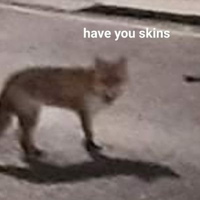 santyclops's profile picture. sé/é, crypto-maoist