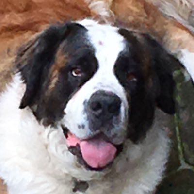 jordi4428's profile picture. Orgullosamente Mexicano.