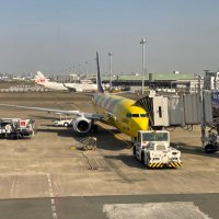 のぞみ499 (@avmllp2022) 's Twitter Profile