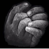میری ذات مٹی (@diyekilo) 's Twitter Profile