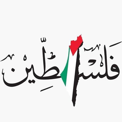 Bassim43209620's profile picture. Économiste