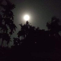 ProvaA (@nusratprova8) 's Twitter Profile Photo