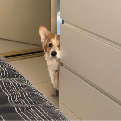 papapower888's profile picture. 