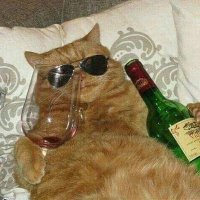 Brods (@limitendng) 's Twitter Profile