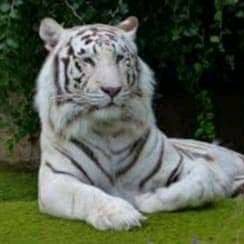 Ometv93983590's profile picture. selalu berjuang