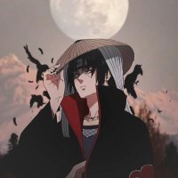 👾 (@goodnightnggo) 's Twitter Profile