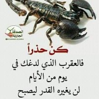 فحل السوالب ولمطلقاه الجنوب (@nsr_alb) Twitter profile photo