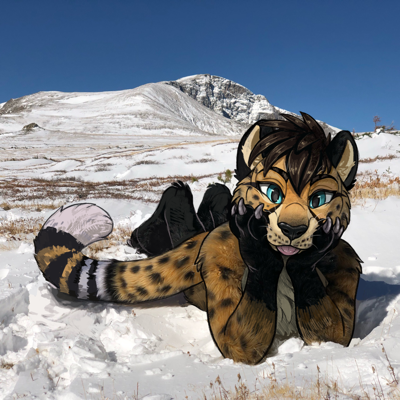 Hi! I'm Azzy, a fire themed Asiatic cheetah, mountain enthusiast, cat lover, and occasionally @TukioAWD :3 30~Demi-bi~single~He/Him. Sometimes  🔞