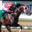 horseracing_bc