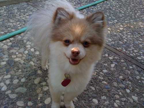 ninaricci4's profile picture. 