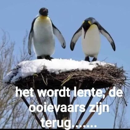 #Tuinman met #charme
chalet verhuur overijssel
https://t.co/Dp6ovE2DQW
#influencer #marketing #hardenberg #ommen #toerisme #camping