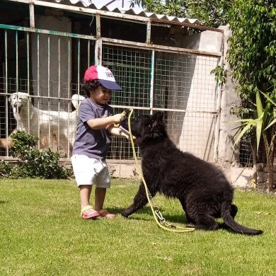 Chasadzia's profile picture. 