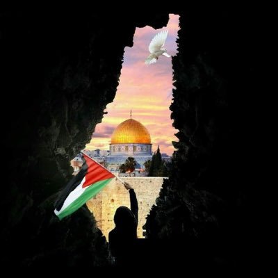 saidmsotaf91084's profile picture. لا اله الا انت سبحانك اني كنت من الظالمين