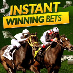 SportsBods's profile picture. 