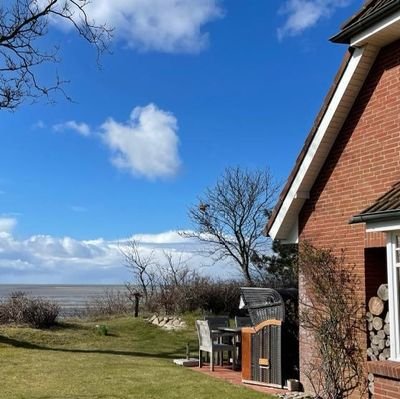 herrhahn's profile picture. 